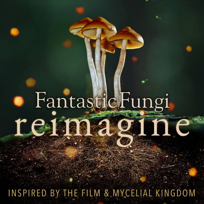 FANTASTIC FUNGI: REIMAGINE - Out now, co-produced by Amber Rubarth